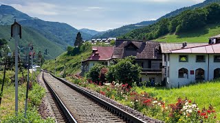 Cab Ride  Kleine Scheidegg to Lauterbrunnen Switzerland  Train Driver View  4K 60fps HDR [upl. by Ahseuqal]