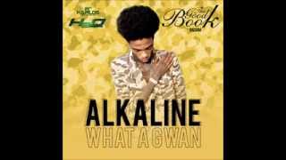 ALKALINE  WHA A GWAN  GOOD BOOK RIDDIM  H2O RECORDS  21ST HAPILOS DIGITAL [upl. by Anival759]