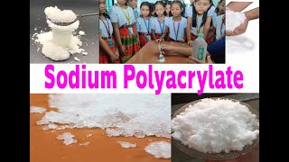 Experimental of Sodium Polyacrylate with school children Class 4 [upl. by Susana]