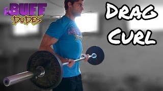 How to Perform Drag Curl Biceps Exercise Tutorial [upl. by Thea]