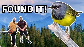 Birding wJason Hall  3 Unsolved Bird Mysteries [upl. by Nycila]