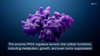 How tumor suppressor PP2A promotes colorectal cancer [upl. by Nnoryt730]