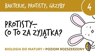 Protisty  co to za żyjątka Przegląd protistów cz1  bakterie protisty i grzyby 4  biologia [upl. by Ahtelrac]