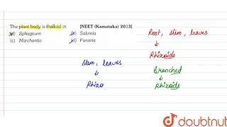 The plant body is thalloid in [upl. by Maryanne]