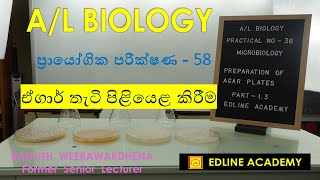 Microbiology Practical No 12  Preparation of agar plates Advanced Level Biology Practicals [upl. by Pry]