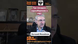 Почему в России не посадили ни одного крупного наркоторговца [upl. by Nitsoj]