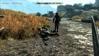 Lets Play  Skyrim Part 90 The Argonian Assassin Thalmor [upl. by Muir370]