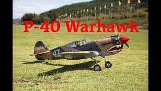 P40 Warhawk [upl. by Reyna450]