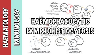 HLH I Hemophagocytic Lymphohistiocytosis  cause pathophysiology investigation and treatment [upl. by Race]