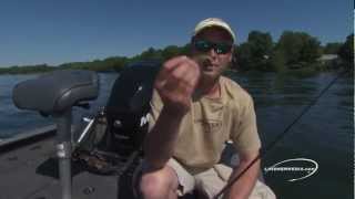 How to use soft bait minnows to lure smallmouth [upl. by Menken127]