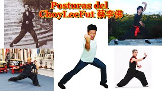 Posturas del Kung fu Choy lee fut Video 1 [upl. by Notwen]