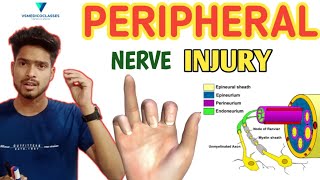 Peripheral nerve injury  Neuropraxia  Axonotmesis and Neurotmesis  Seddon classification [upl. by Stronski]