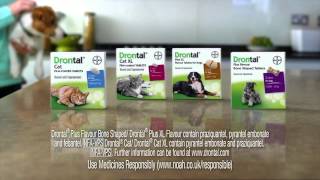 Drontal worming for puppies dogs and cats  Pharmacy4petscom [upl. by Dix]