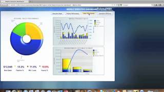 IBM Cognos Active Report [upl. by Einwahr866]