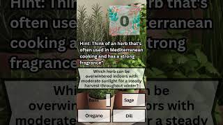 You Wont Believe This Herb Can Survive Indoors All Winter shorts gardeningshorts herbs winters [upl. by Ahsetel]