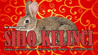 RAMALAN Shio KELINCI 2024  KARTU TAROT membaca PERUNTUNGAN KEUANGAN JODOH KESEHATAN Shio KELINCI [upl. by Nedyarb]