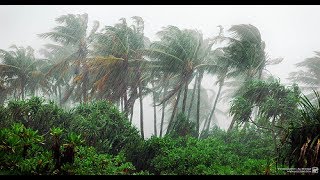 Monsoon in India  Cinematic Nature Documentary [upl. by Alitta453]