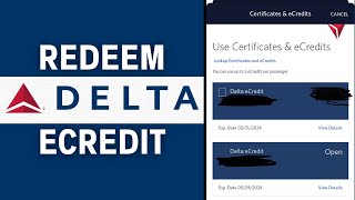 How to Use Delta eCredit Redeem amp Book [upl. by Naicad]