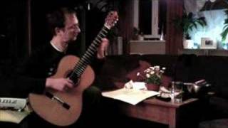 leo brouwer  etude no 7 [upl. by Stockmon197]