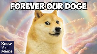 RIP Doge Kabosu the Beloved Shiba Inu of the Doge Meme Has Crossed The Rainbow Bridge [upl. by Tecil748]