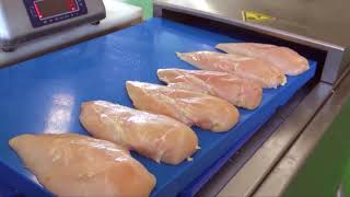 Hiwell Template slicing machine MQJ300II for chicken breast [upl. by Teri313]