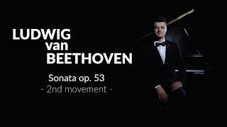 Ludwig van Beethoven  Sonata op 53  2nd movement Hajrudin Muhic [upl. by Affer]