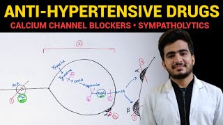 AntiHypertensive Drugs  3  CVS Pharmacology  EOMS [upl. by Ahsyekat178]