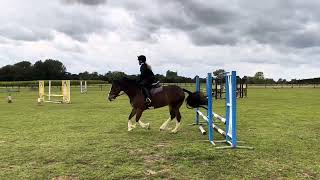 Kayla Fox C Test Show Jumping [upl. by Ymmit]