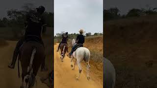 Pisando com força cavalos cavalo fazenda amorporcavalos vaquejada horse cavalosselados [upl. by Sky939]