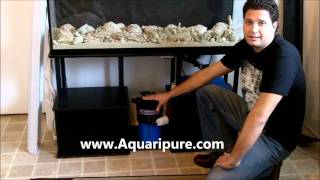 How to Set Up a Low Cost and Easy to Maintain Saltwater Reef Aquarium [upl. by Derina601]