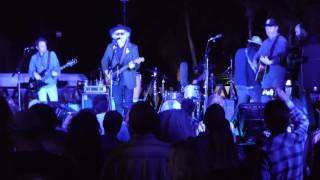 The Minus 5  Dear Employer The Reason I Quit Live night 2 2016 Todos Santos Music Festival [upl. by Kippy]