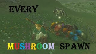 Every Mushroom in 1 Spawn Area BotW [upl. by Irej]