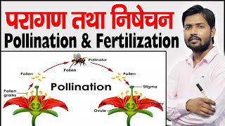 POLLINATION AND FERTILISATION  Agents of Pollination  Cross pollination  Self Pollination [upl. by Leanahtan538]