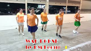 War Horse line dance 战马 [upl. by Lulu]