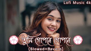 তুমি গোপনে গোপনে মারলা রে বন্ধু  Tumi Gopone Gopone Marlare Bondhu Lofi SlowedReverb Viral Song [upl. by Neerod459]