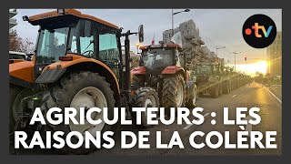 Agriculteurs  les raisons de la colère [upl. by Selij]