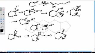 Lactone Hydrolysis [upl. by Inalaehon317]