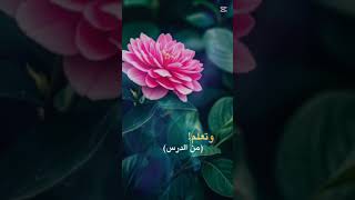 يأتي البعض لحياتك كنعمه [upl. by Stalker]