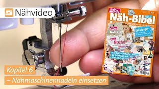 Nähvideo Nähmaschinennadel einsetzen – Kapitel 6 NähBibel Vol 1 [upl. by Ymia101]