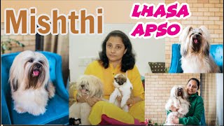 Lhasa Apso Female dog  Mishti  Pet Parent  Priya Malhotra [upl. by Ednutey]