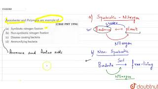 Azotobacter and Polymyxa are example of [upl. by Ardyth]