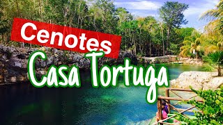 Cenotes Casa Tortuga [upl. by Ikeda]