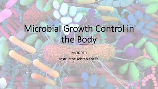 Introduction to Microbiology Microbial Growth Control in the Body [upl. by Dowski]