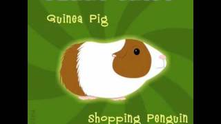 Guinea Pig [upl. by Negam]