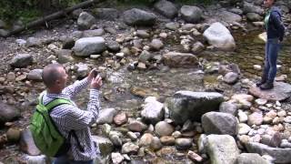 Tatry  Dolina Suchej Wody [upl. by Maryjane547]