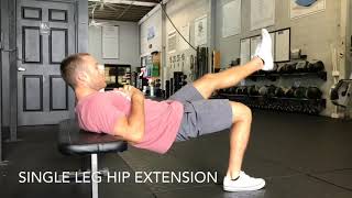 SINGLE LEG HIP EXTENSION on bench [upl. by Aitahs556]