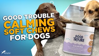 Review Good Trouble Calming Soft Chews for Dogs [upl. by Christina]