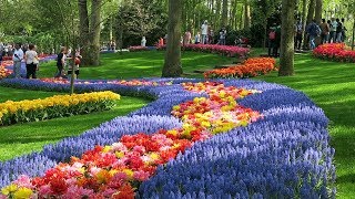 Keukenhof 2019 [upl. by Nymassej]