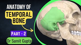 Gross Anatomy of the Middle Ear  Boundaries Contents and Functions  Animation [upl. by Blasien]