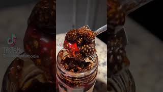 Have you ever tried pinecone jam pineconejam meme jam 🐝🐝🐝🐝 [upl. by Bjork92]